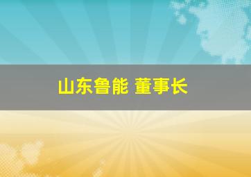 山东鲁能 董事长